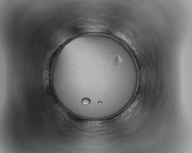 X0000095961211200801251143