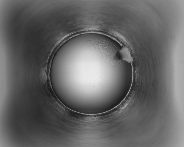 X0000095961212200801251143