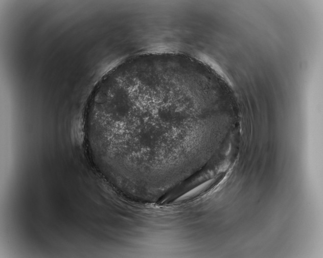 X0000095961213200801251143