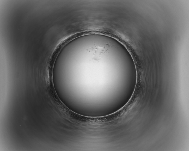 X0000095961214200801251143