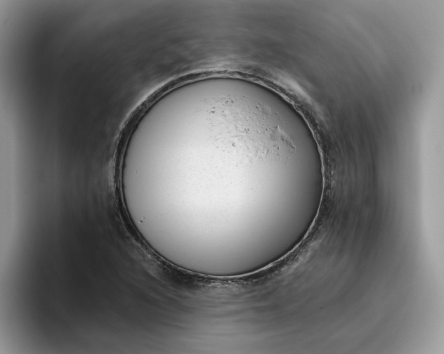 X0000095961216200801251143