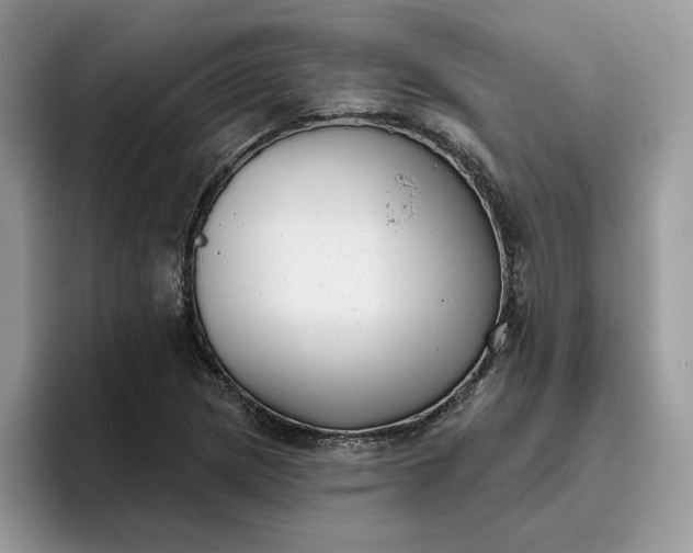 X0000095961217200801251143