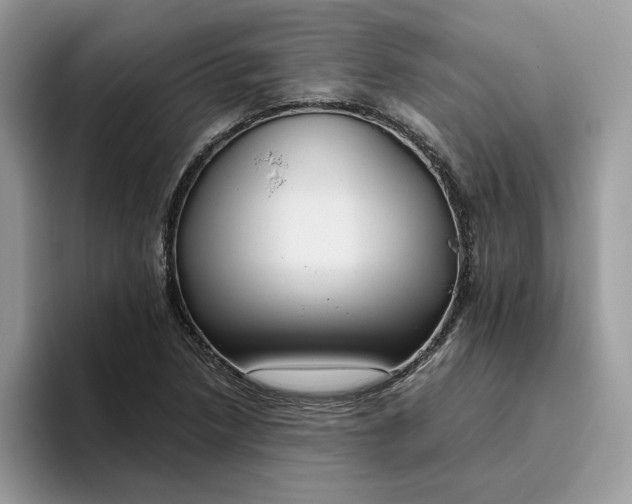 X0000095961218200801251143