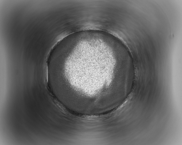 X0000095961219200801251143