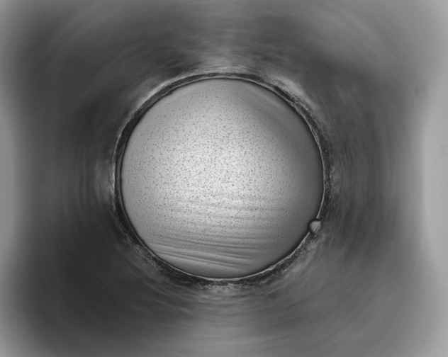 X0000095961220200801251143