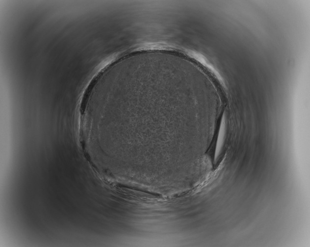 X0000095961221200801251143