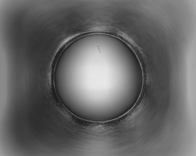 X0000095961222200801251143