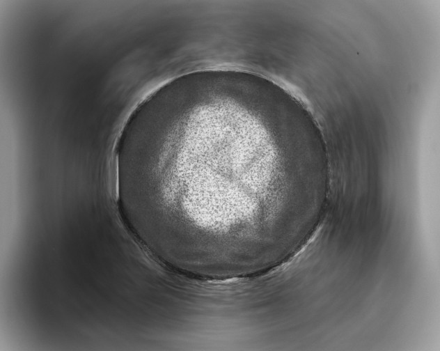 X0000095961223200801251143