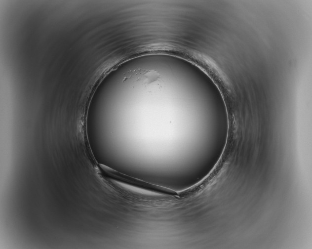 X0000095961225200801251143