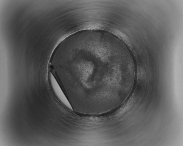 X0000095961226200801251143