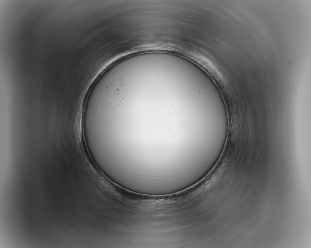 X0000095961228200801251143