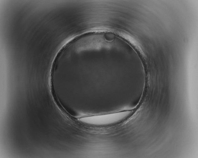 X0000095961229200801251143