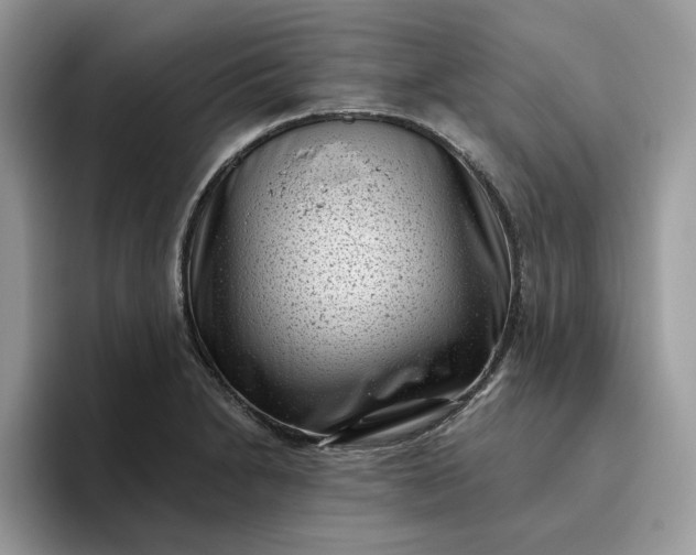 X0000095961230200801251143