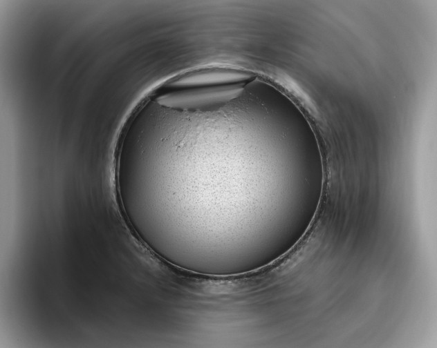 X0000095961232200801251143