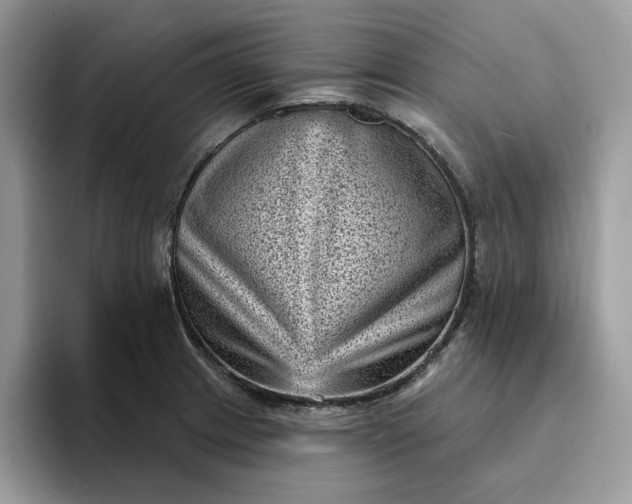 X0000095961233200801251143