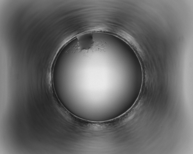 X0000095961234200801251143