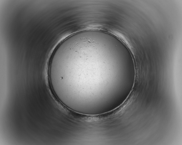 X0000095961235200801251143