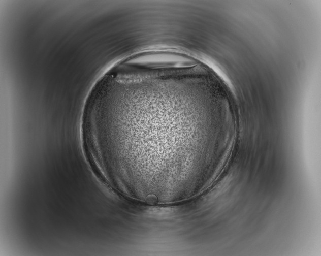 X0000095961237200801251143