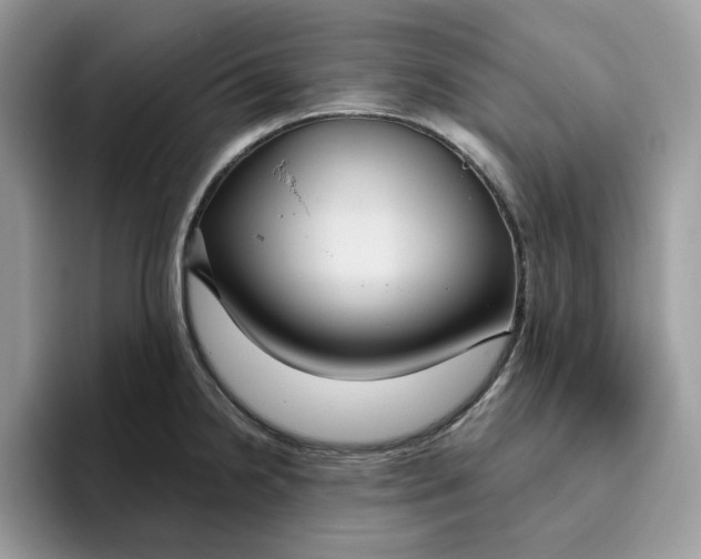 X0000095961238200801251143