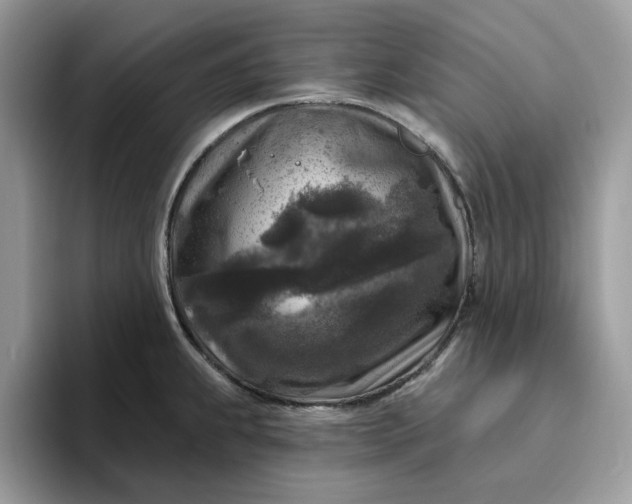 X0000095961239200801251143