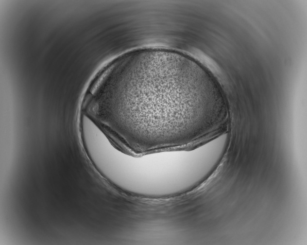 X0000095961240200801251144