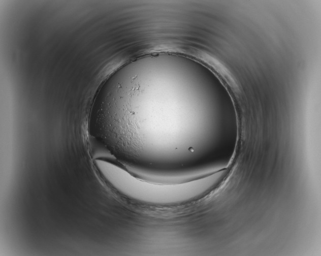 X0000095961241200801251144