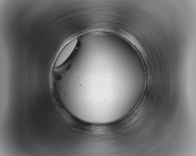 X0000095961242200801251144