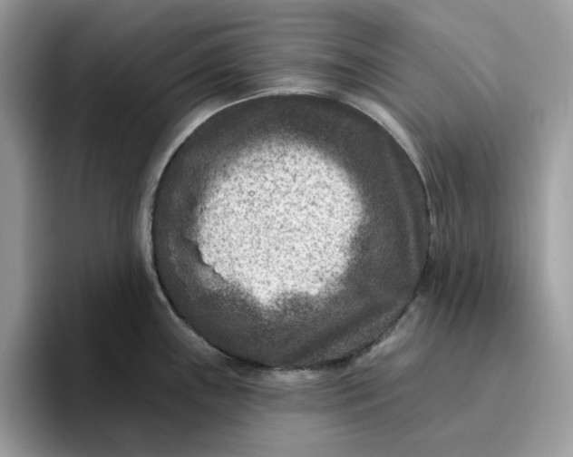 X0000095961243200801251144