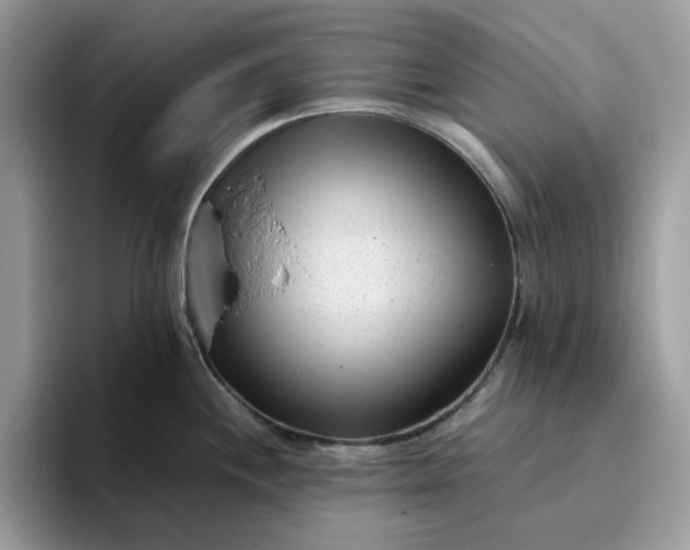 X0000095961244200801251144