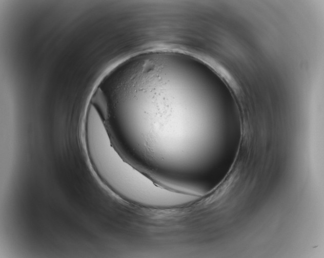 X0000095961247200801251144