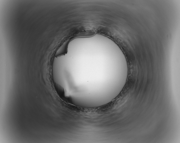 X0000095961249200801251143