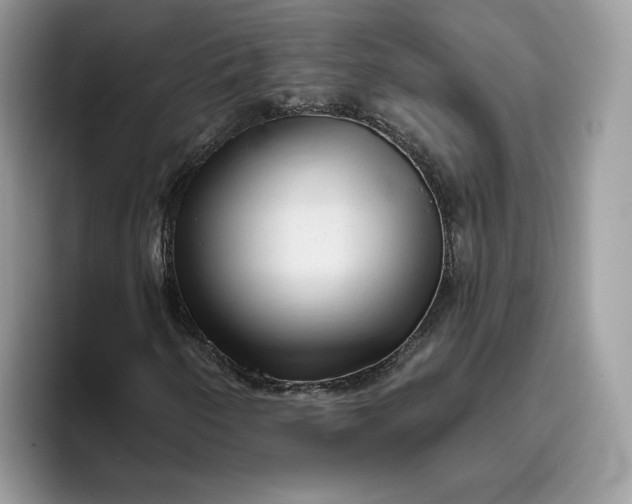 X0000095961250200801251143