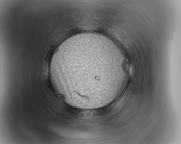 X0000095961251200801251143