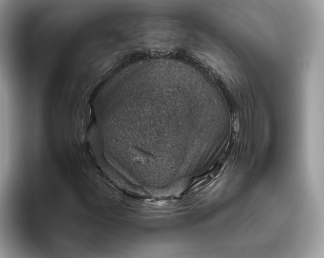 X0000095961252200801251143