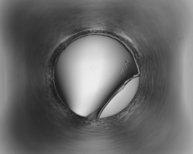 X0000095961255200801251143