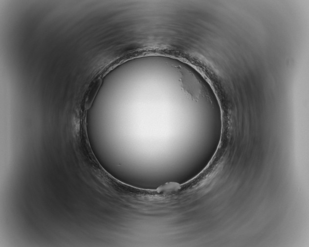 X0000095961257200801251143