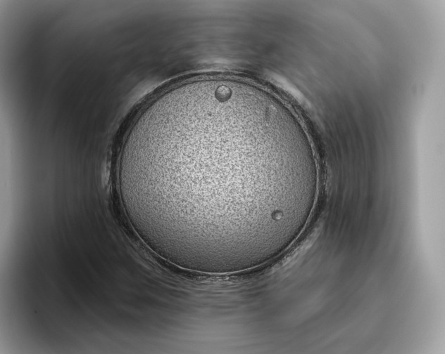 X0000095961259200801251143