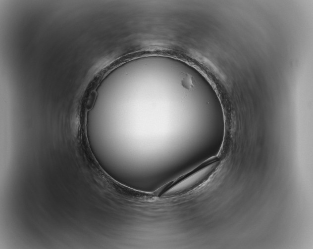 X0000095961261200801251143