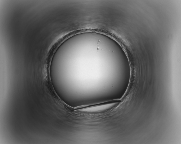 X0000095961262200801251143