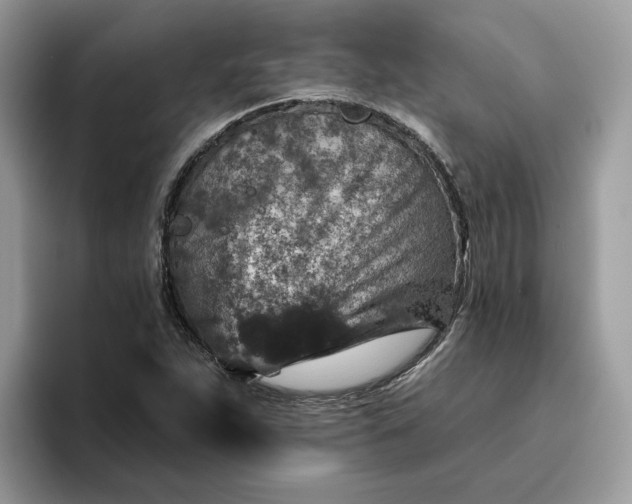 X0000095961263200801251143