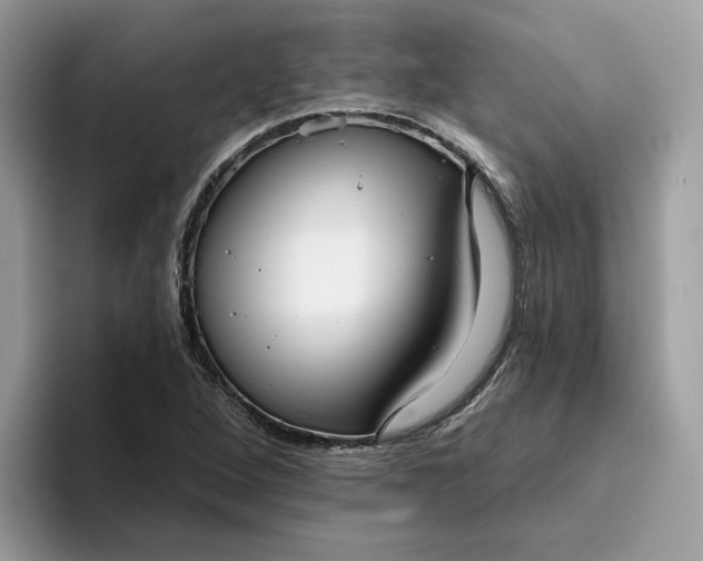 X0000095961264200801251143