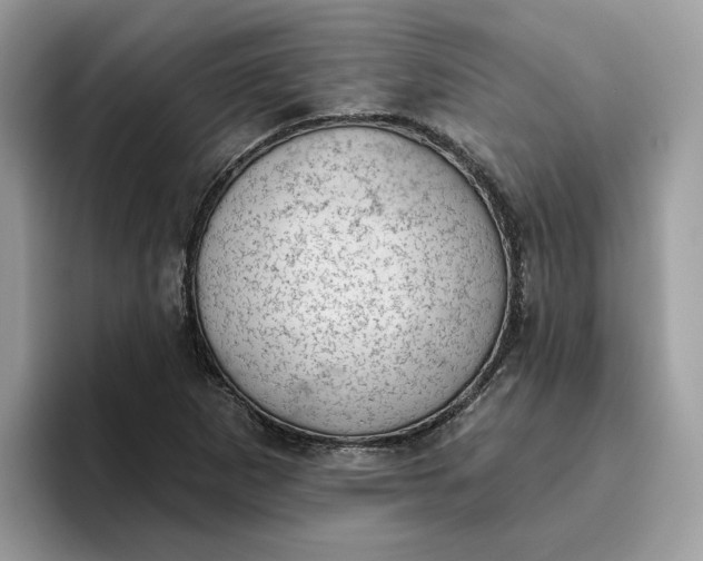 X0000095961265200801251143