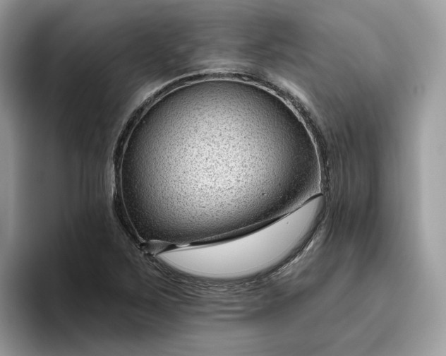 X0000095961267200801251143