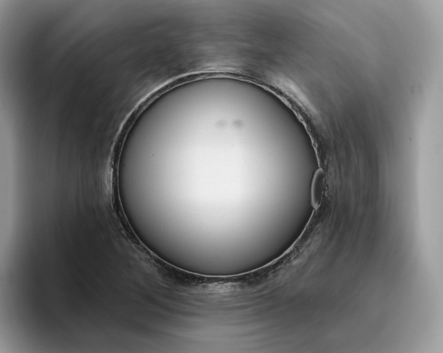 X0000095961268200801251143