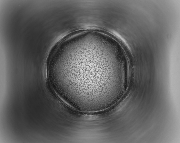 X0000095961269200801251143