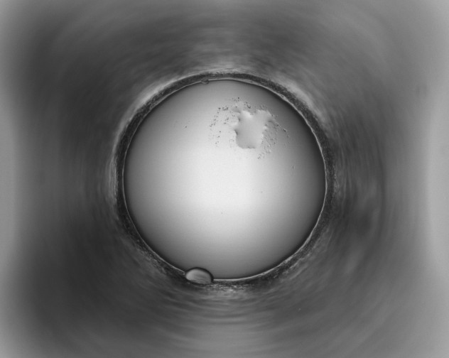 X0000095961270200801251143