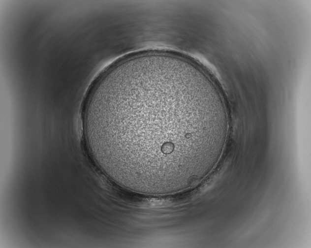 X0000095961271200801251143