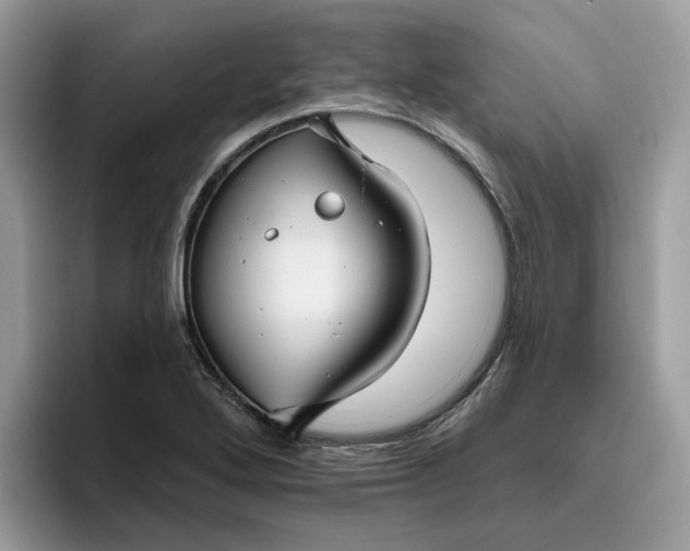 X0000095961272200801251143