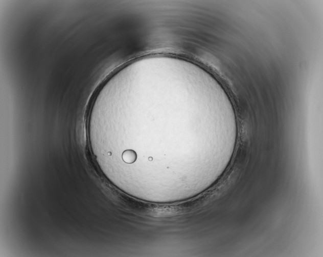 X0000095961274200801251143