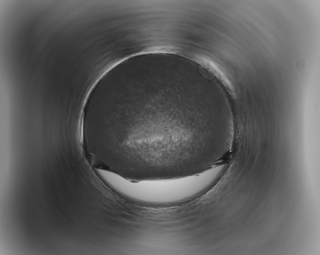 X0000095961276200801251143